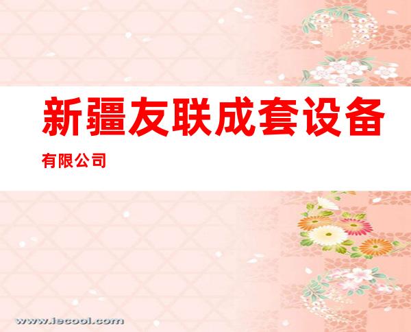新疆友联成套设备有限公司