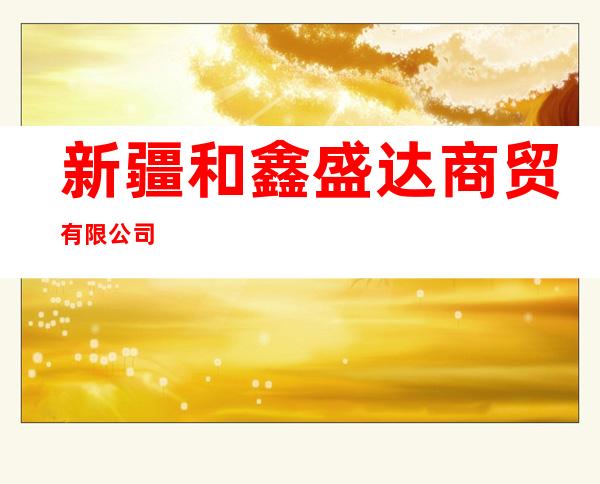 新疆和鑫盛达商贸有限公司