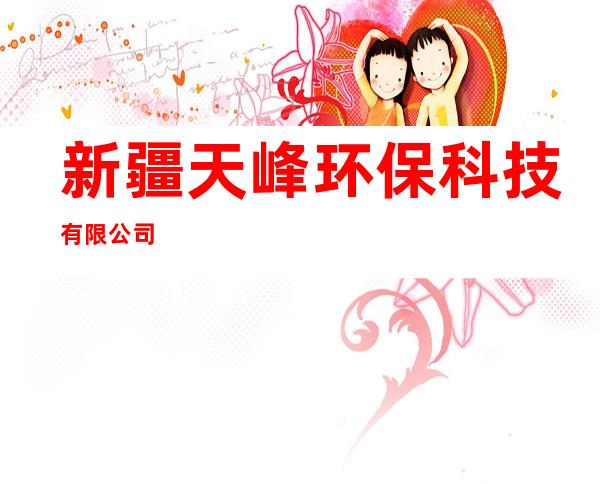 新疆天峰环保科技有限公司