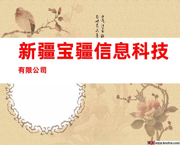 新疆宝疆信息科技有限公司