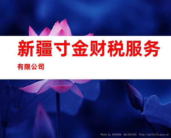 新疆寸金财税服务有限公司