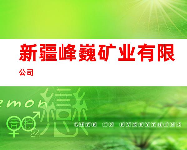 新疆峰巍矿业有限公司