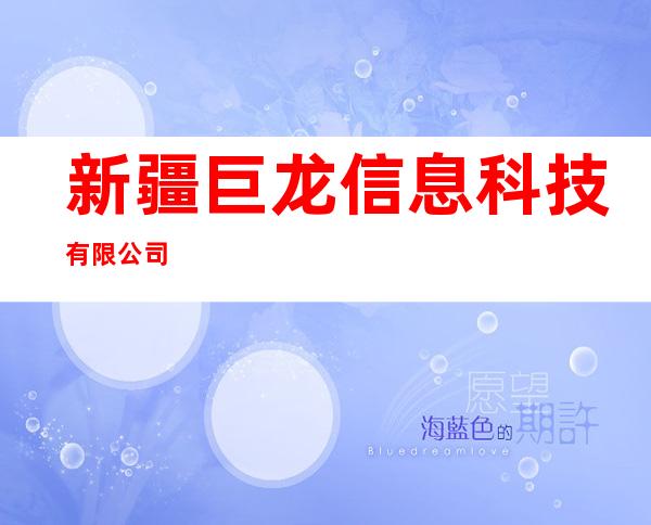 新疆巨龙信息科技有限公司