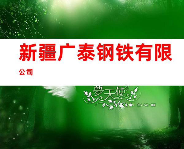 新疆广泰钢铁有限公司