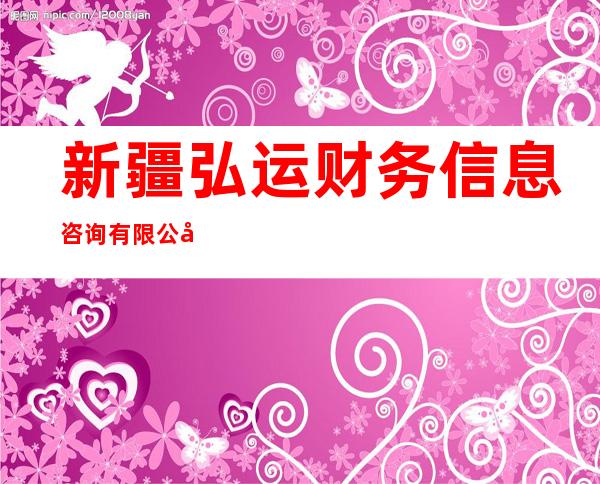 新疆弘运财务信息咨询有限公司