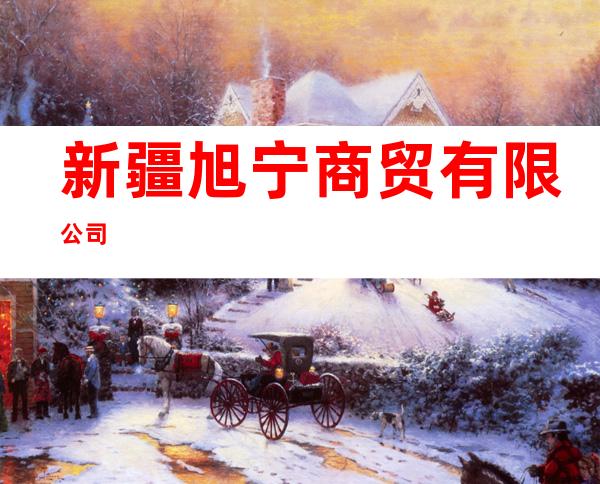 新疆旭宁商贸有限公司