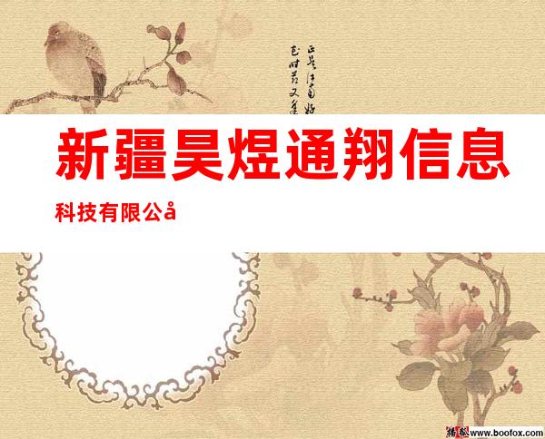 新疆昊煜通翔信息科技有限公司