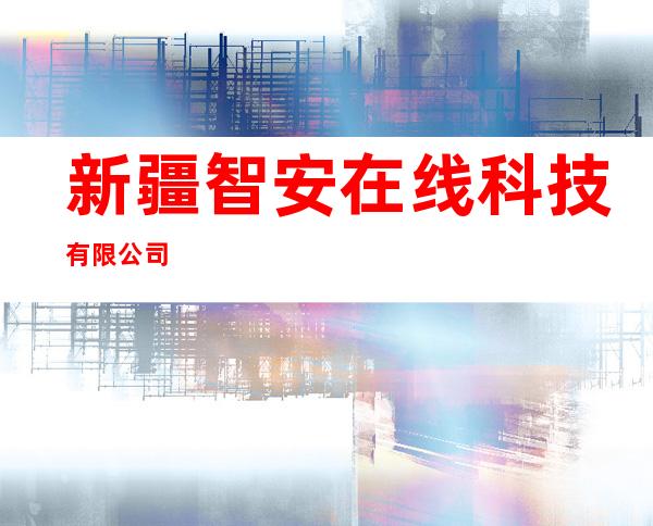 新疆智安在线科技有限公司