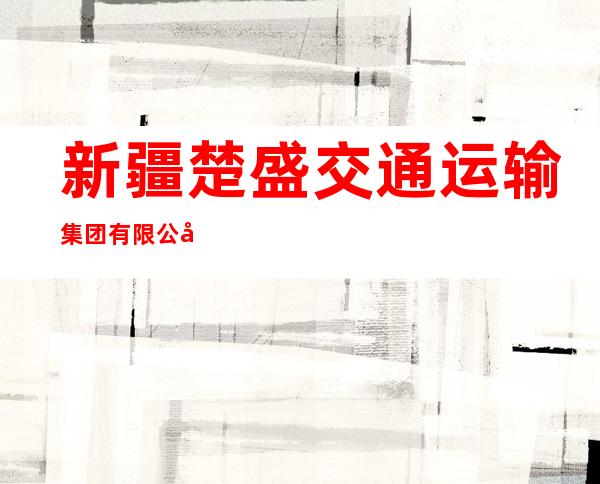 新疆楚盛交通运输集团有限公司