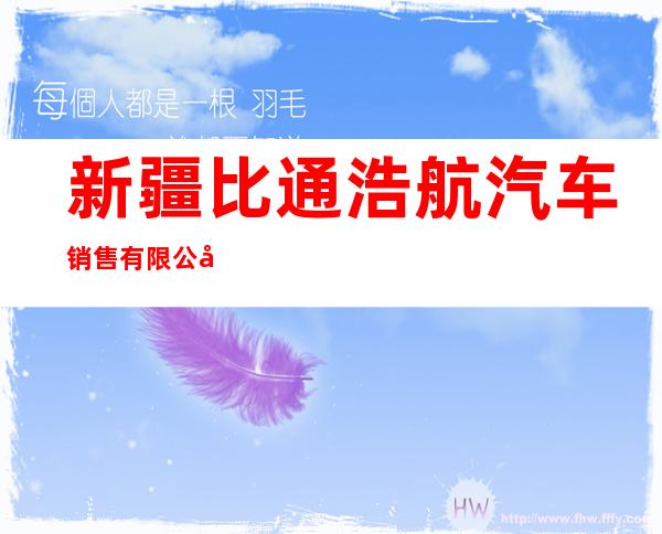 新疆比通浩航汽车销售有限公司