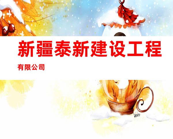 新疆泰新建设工程有限公司