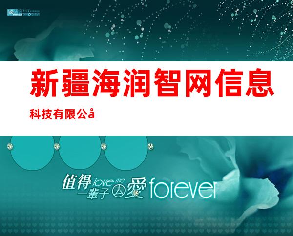 新疆海润智网信息科技有限公司