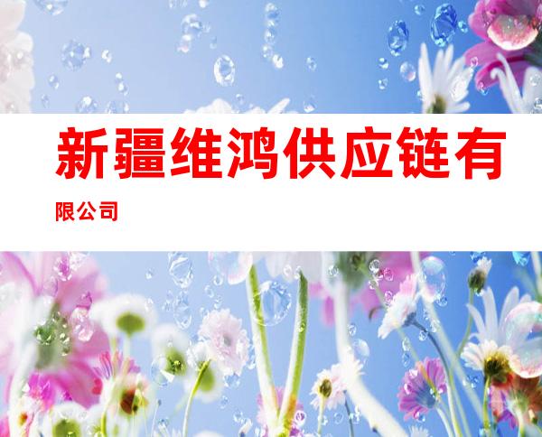 新疆维鸿供应链有限公司