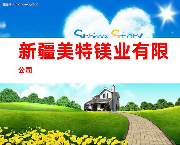 新疆美特镁业有限公司