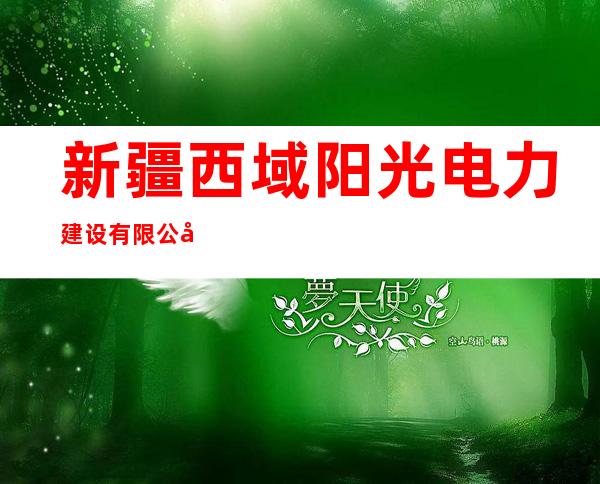 新疆西域阳光电力建设有限公司