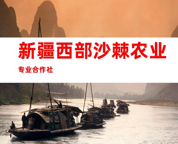 新疆西部沙棘农业专业合作社