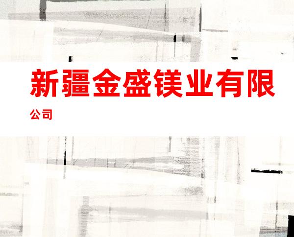 新疆金盛镁业有限公司