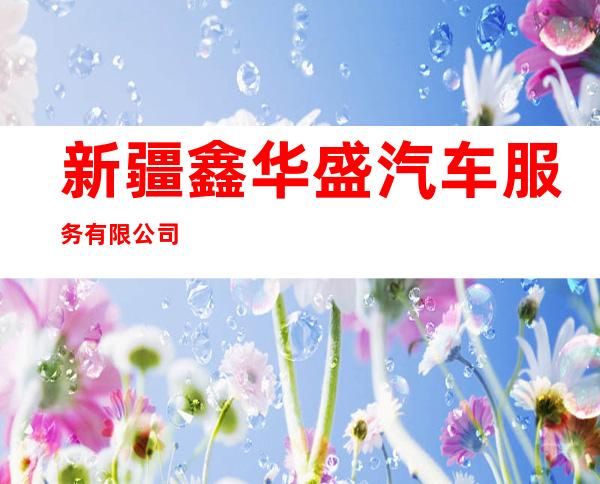 新疆鑫华盛汽车服务有限公司