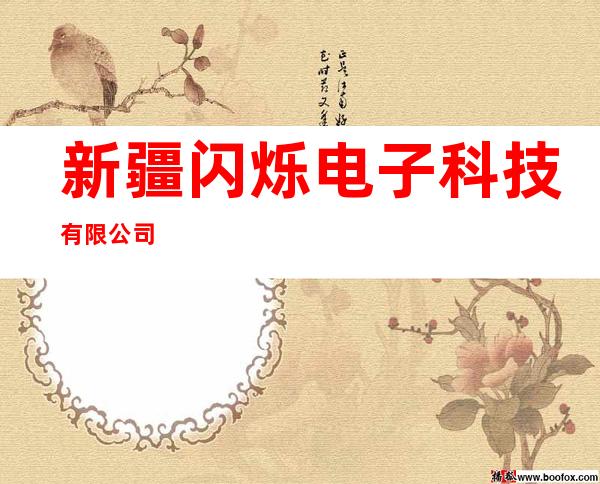 新疆闪烁电子科技有限公司