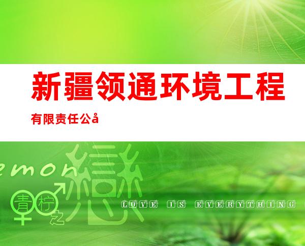新疆领通环境工程有限责任公司