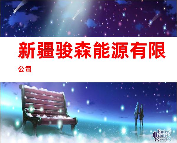新疆骏森能源有限公司