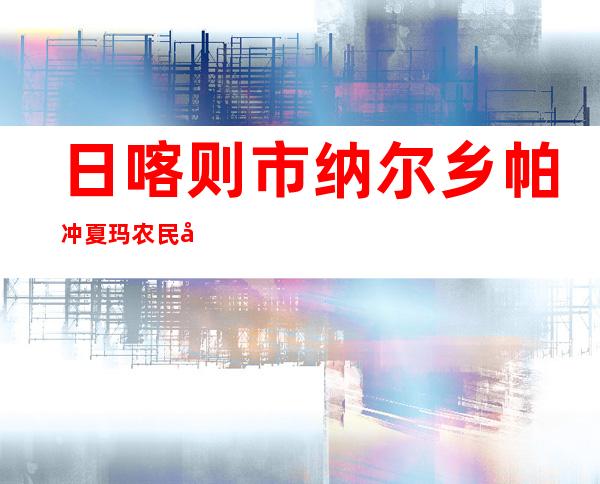 日喀则市纳尔乡帕冲夏玛农民建筑队