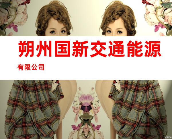 朔州国新交通能源有限公司