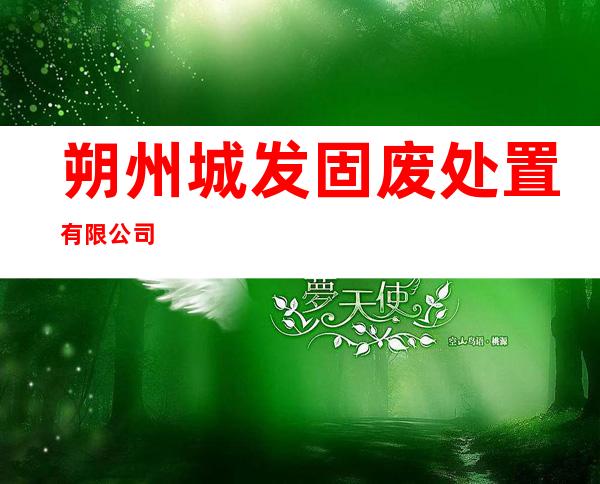 朔州城发固废处置有限公司