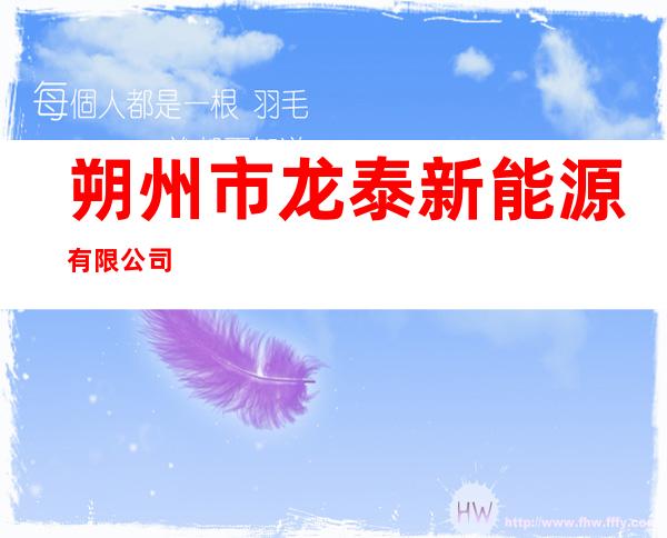 朔州市龙泰新能源有限公司