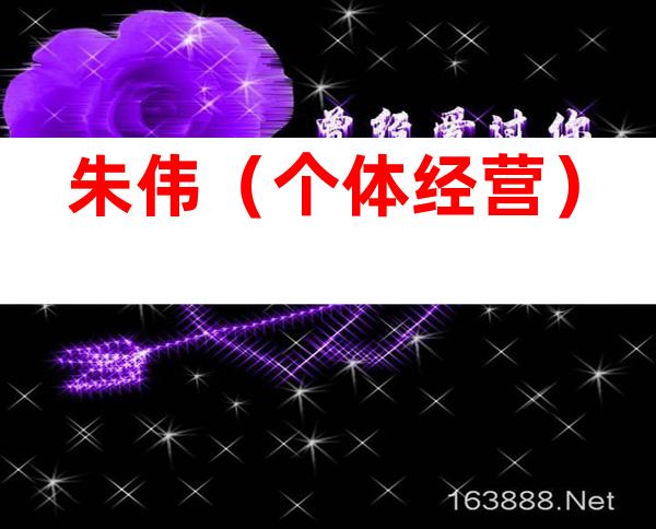 朱伟（个体经营）
