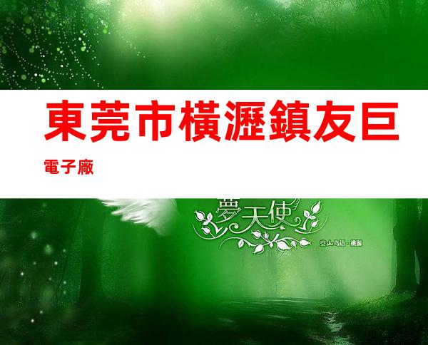 東莞市橫瀝鎮友巨電子廠