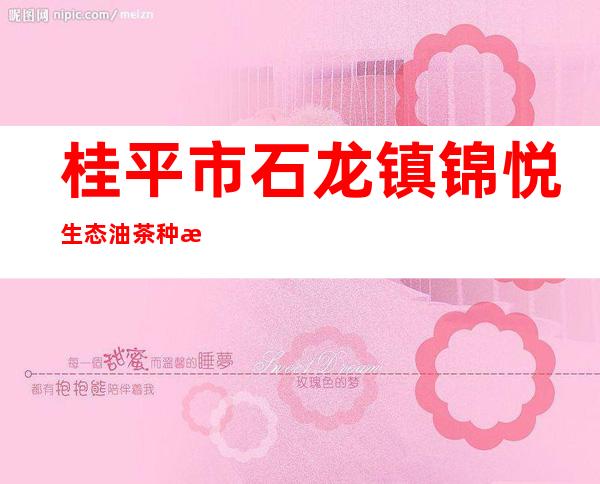 桂平市石龙镇锦悦生态油茶种植专业合作社