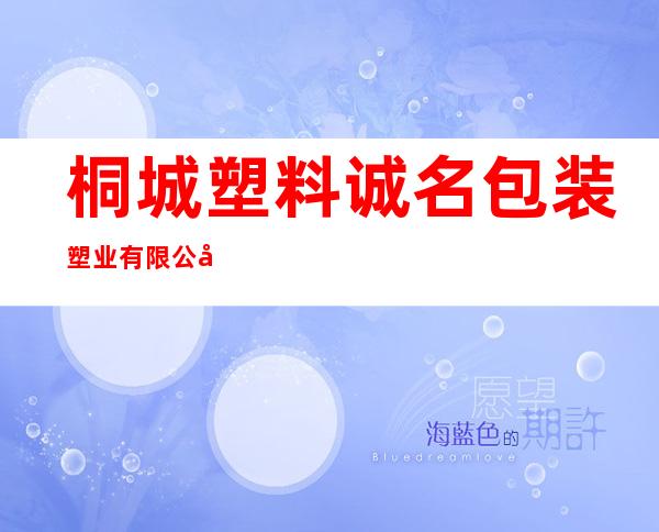 桐城塑料诚名包装塑业有限公司