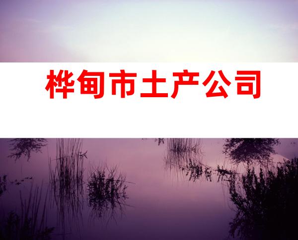 桦甸市土产公司