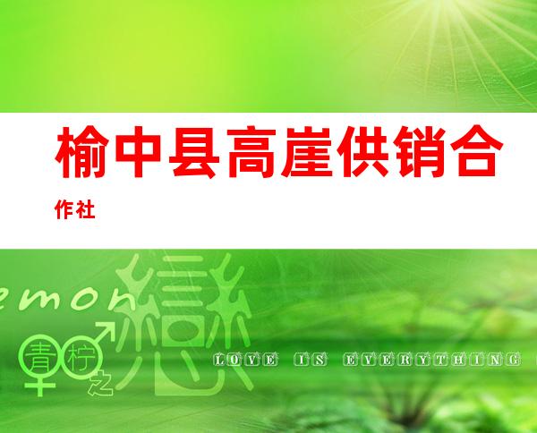 榆中县高崖供销合作社