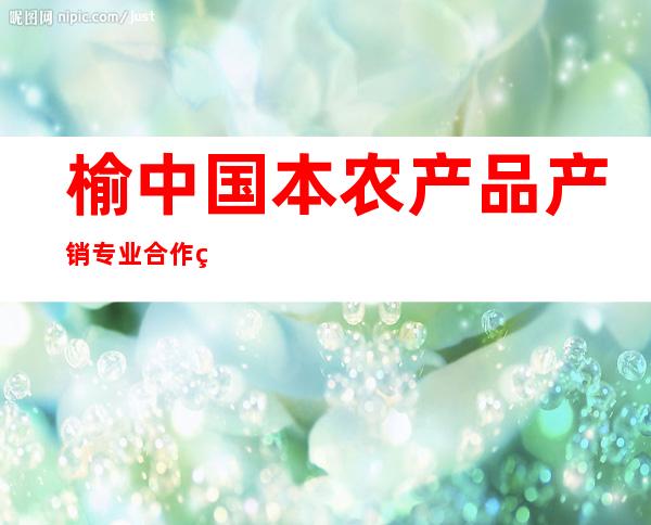 榆中国本农产品产销专业合作社