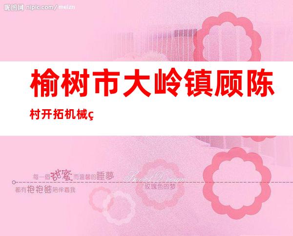 榆树市大岭镇顾陈村开拓机械种植专业合作社