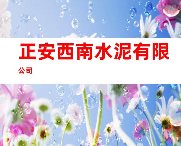 正安西南水泥有限公司