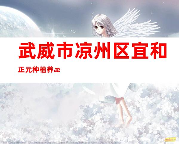 武威市凉州区宜和正元种植养殖农民专业合作社