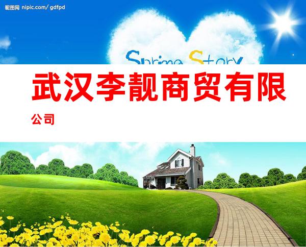 武汉李靓商贸有限公司