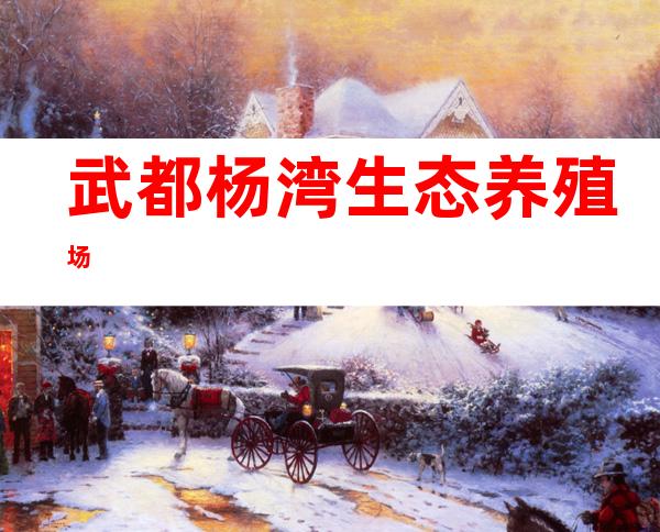 武都杨湾生态养殖场