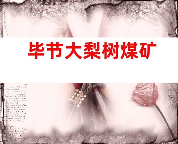 毕节大梨树煤矿