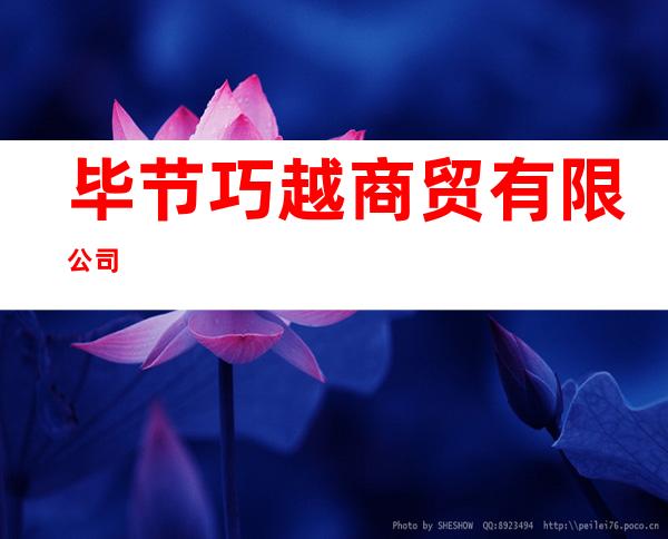 毕节巧越商贸有限公司