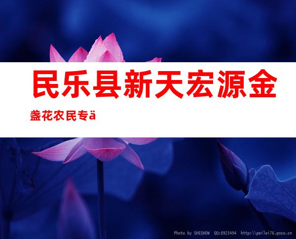 民乐县新天宏源金盏花农民专业合作社