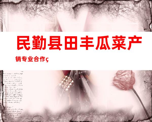 民勤县田丰瓜菜产销专业合作社