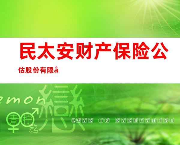民太安财产保险公估股份有限公司新疆分公司