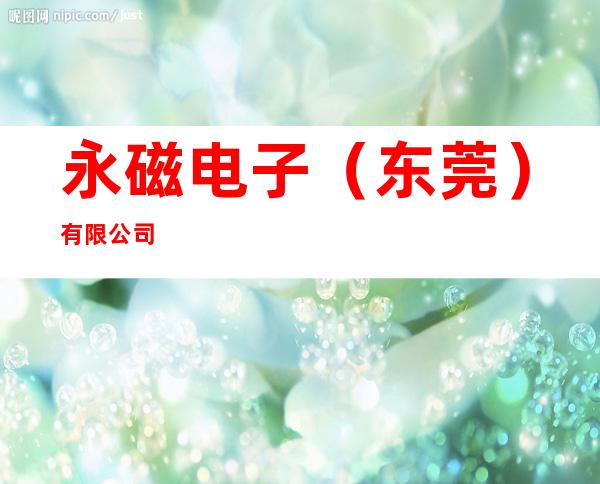 永磁电子（东莞）有限公司