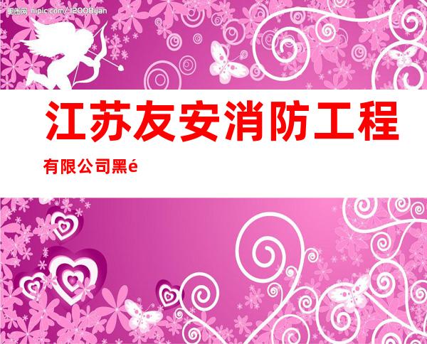 江苏友安消防工程有限公司黑龙江分公司