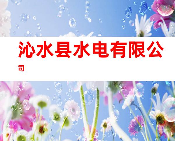 沁水县水电有限公司