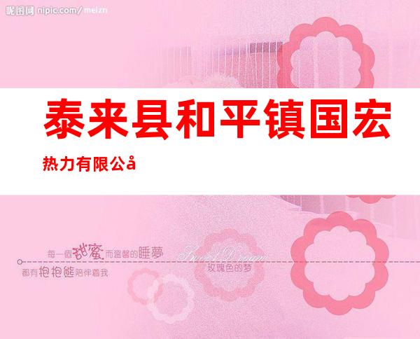 泰来县和平镇国宏热力有限公司